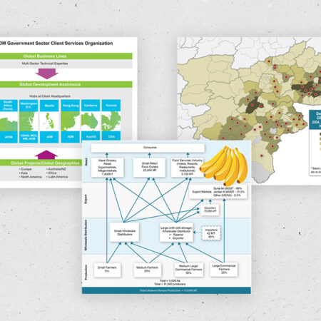 Informational Graphics